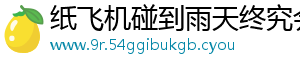 纸飞机碰到雨天终究会坠落